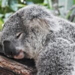 blog lessons from an extended trip - Lessons learned from an extended trip