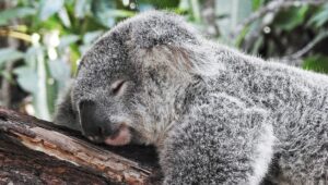 blog lessons from an extended trip - Lessons learned from an extended trip