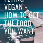 blog tips for flying as a vegan - Tips for Flying As A Vegan - How to Get the Food You Want