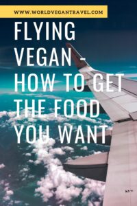 blog tips for flying as a vegan - Tips for Flying As A Vegan - How to Get the Food You Want
