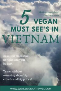 blog 5 must see in Vietnam - 5 Vegan Must-Sees in Vietnam