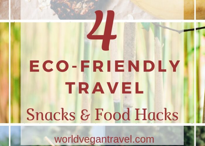 blog 4 eco friendly snacks and food hacks - 4 Eco-Friendly Travel Hacks for Snacks & Food (VH&T)