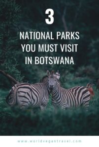 blog 3 Botswana national parks - 3 National Parks You Must Visit in Botswana