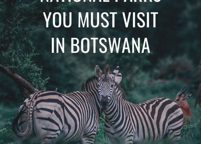 blog 3 Botswana national parks - 3 National Parks You Must Visit in Botswana