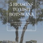 blog 5 reasons to visit botswana - 4 Reasons to Visit Botswana (VH&T)