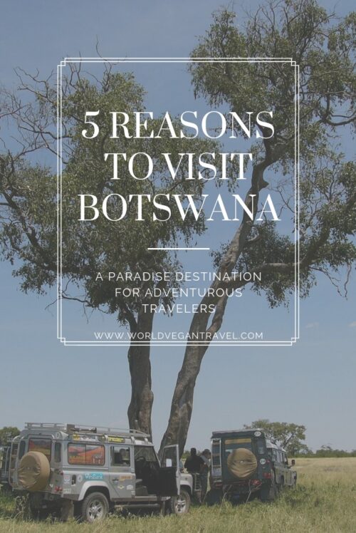 blog 5 reasons to visit botswana - 4 Reasons to Visit Botswana (VH&T)