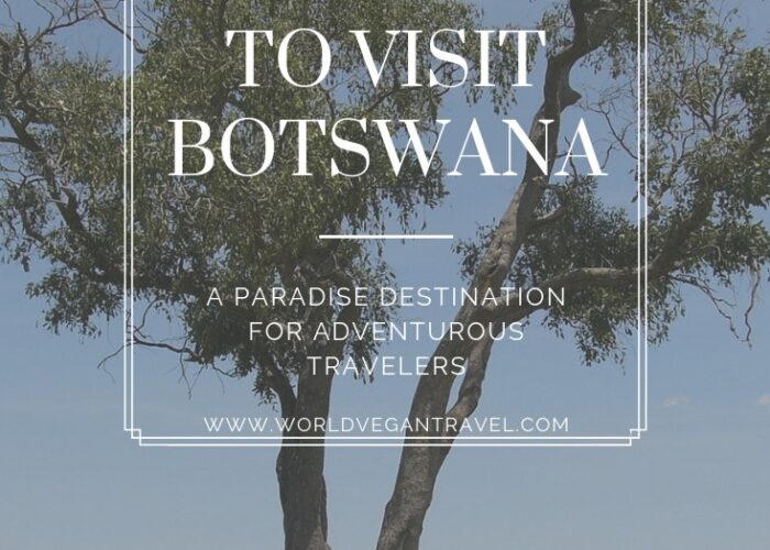 blog 5 reasons to visit botswana - 4 Reasons to Visit Botswana (VH&T)