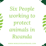 blog 6 people protecting animals in Rwanda - Six People Working to Protect Animals in Rwanda
