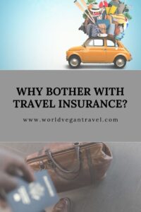 blog why travel insurance - Why travel insurance?