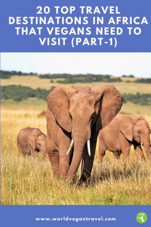 blog top African travel destinations part 1 - 20 top travel destinations in Africa that Vegans need to visit (Part-1)