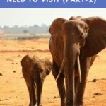 blog top African travel destinations part 2 - 20 top travel destinations in Africa that Vegans need to visit (Part-2)