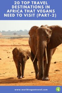 blog top African travel destinations part 2 - 20 top travel destinations in Africa that Vegans need to visit (Part-2)