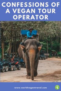 blog confessions of a vegan tour operator - Confessions of a Vegan Tour Operator