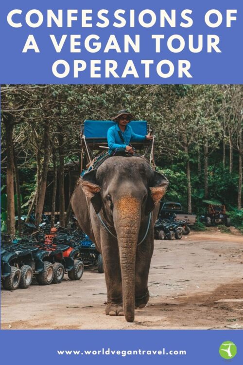 blog confessions of a vegan tour operator - Confessions of a Vegan Tour Operator