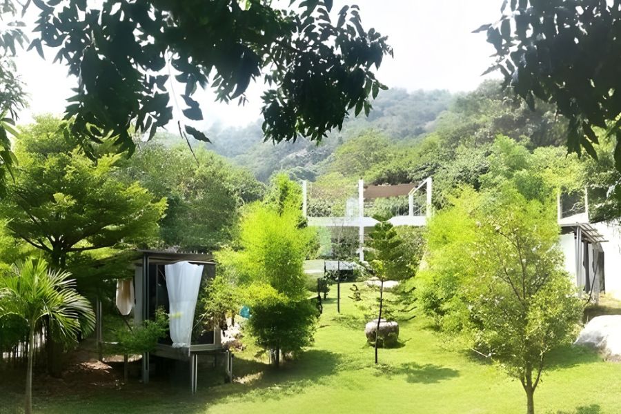 Vegan retreat in Thailand surrounded by nature and greenery