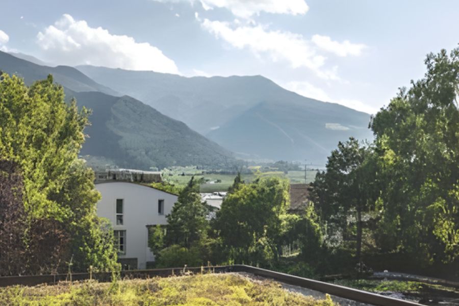 Vegan hotel Italy with mountain views in South Tyrol