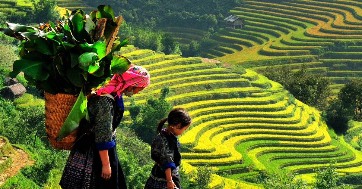Vietnam Sapa Vietnam Sapa - Vietnam