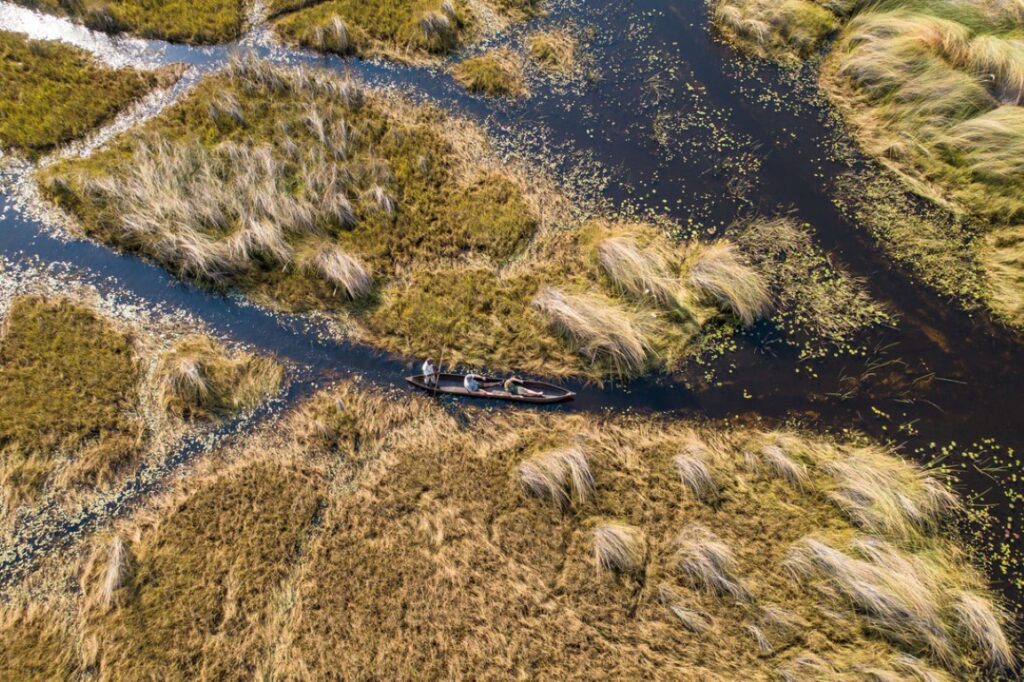 Mokoro safari in the Okavango Delta Botswana