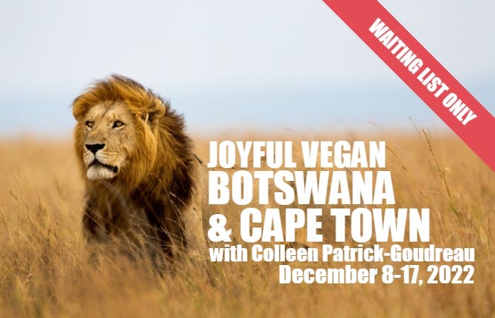 Joyful Vegan Botswana 2022