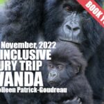 Joyful Rwanda November 2022