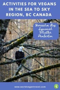 Picture of eagle and text