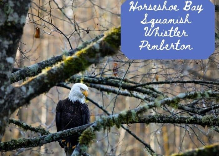 Picture of eagle and text