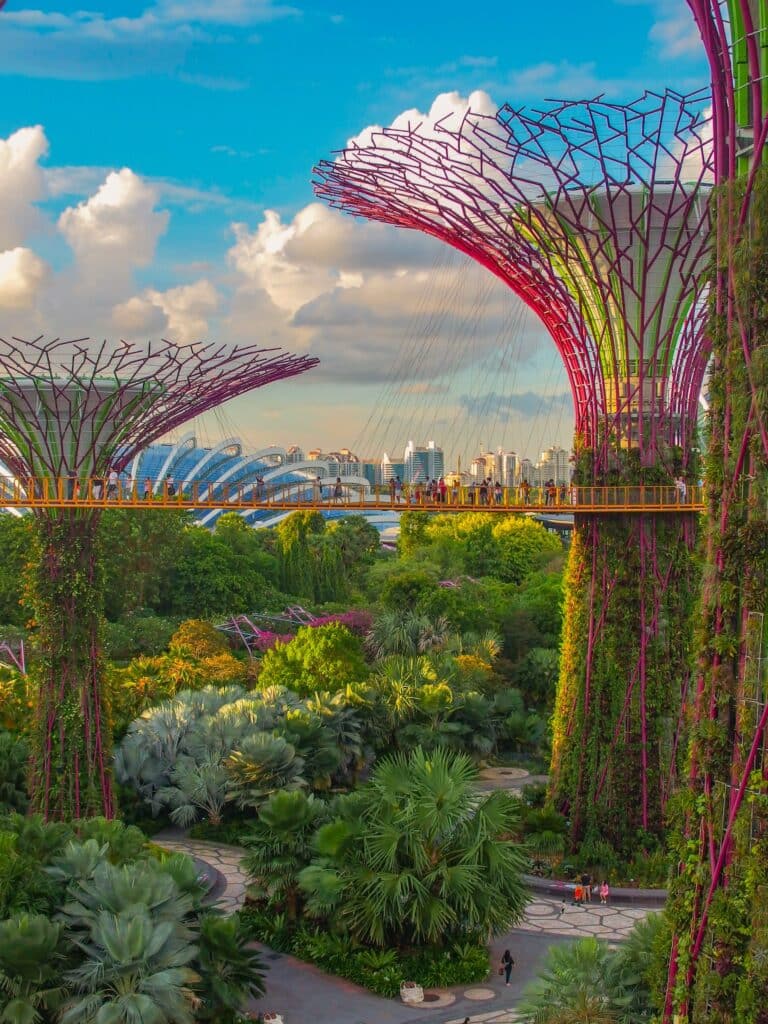 Super Tree Grove at Gardens by the Bay, People walking on walkway connecting the beautiful trees