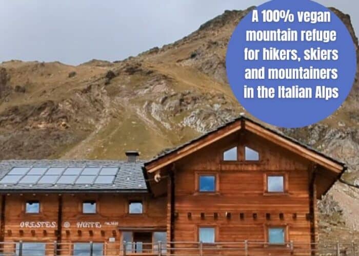Picture of alpine mountain hut Text: Review of Orestes Hutte. A 100% vegan mountain refuge for hikers, skiers and mountaineers in the Italian Alps www.worldvegantravel.com