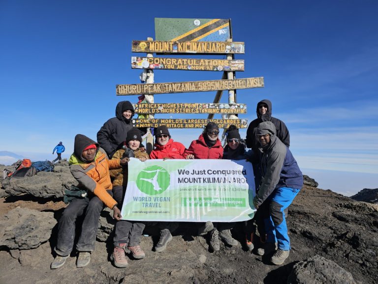 Kilimanjaro summit 2024 Kilimanjaro summit 2024