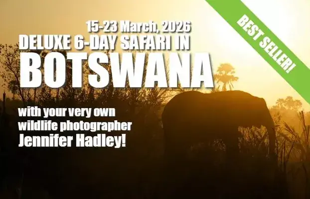 Botswana 2026 Jennifer Hadley