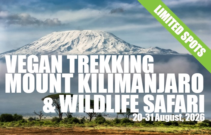 Climb Kilimanjaro 2026 Pre-Register