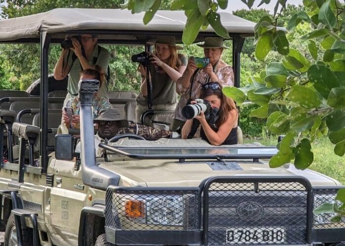 Text: Images from our Wildlife Photography Trips Image of people taking pictures of animals in a jeep