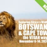 Botswana & Cape Town - new trip