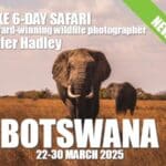 Botswana 2025 - new trip