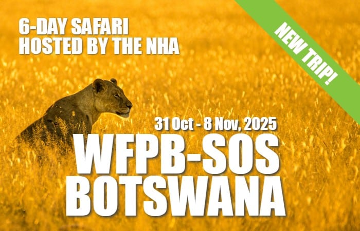 SOS Botswana 2025 New Trip
