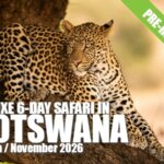 Botswana 2026 Pre-Register