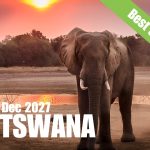14-22 Dec 2027 Botswana vegan group trip Picture of Elephant