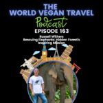 World Vegan Travel TEXT Rescuing Elephants: Hidden Forest's Inspiring Mission Russell Withers Ep 163
