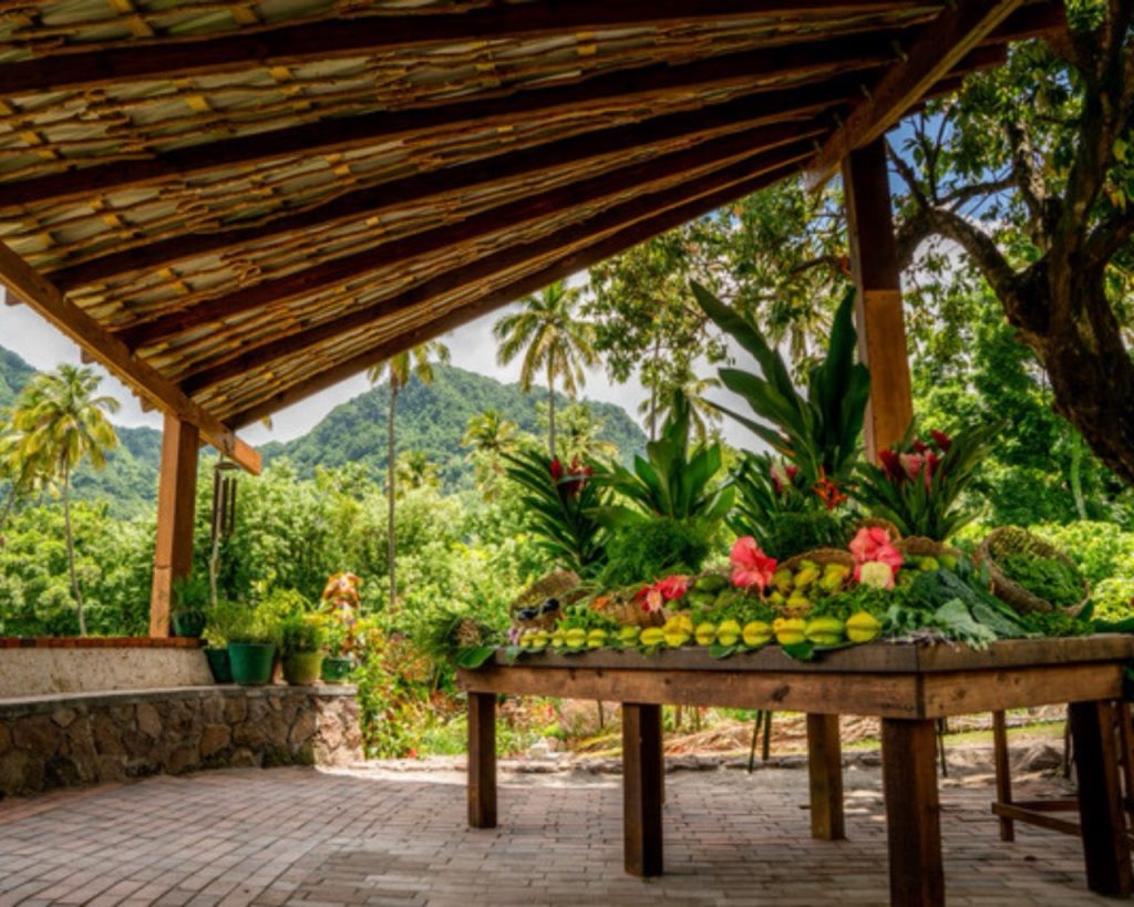 Anse Chastanet garden 