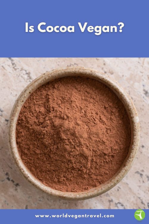 Bowl of cocoa powder used for the blog post “Is Cocoa Vegan?”