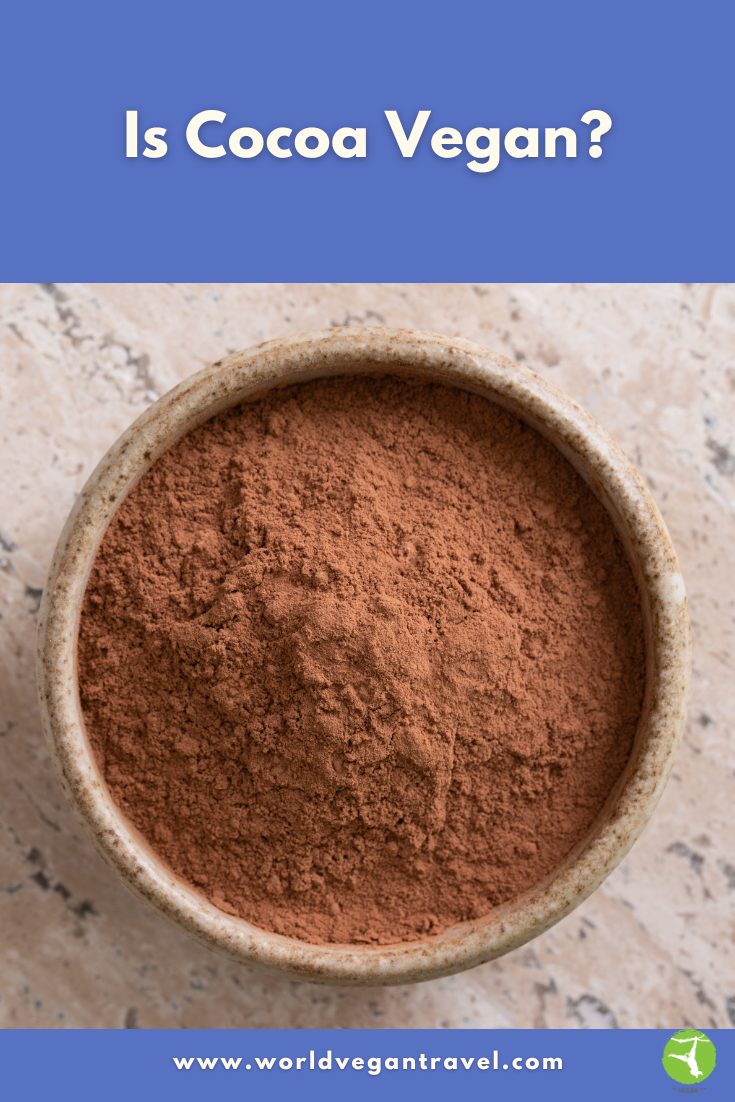 Is Cocoa Vegan? | World Vegan Travel Bowl of cocoa powder used for the blog post “Is Cocoa Vegan?”