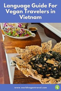Vegan dishes in Vietnam, featured in World Vegan Travel’s Vietnamese Language Guide for vegan travelers