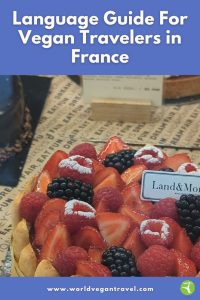 Vegan fruit tart with strawberries, raspberries, and blackberries in France by World Vegan Travel