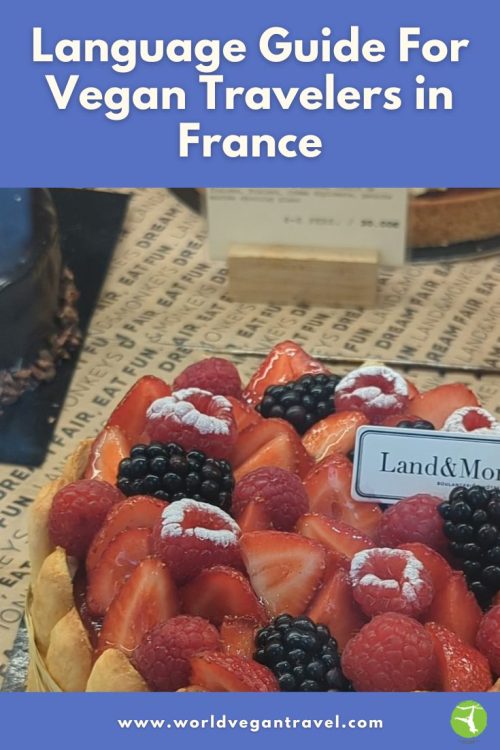 Vegan fruit tart with strawberries, raspberries, and blackberries in France by World Vegan Travel