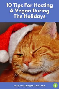 Orange cat in a Santa hat with one eye closed, symbolizing holiday fun for vegan hosting tips.