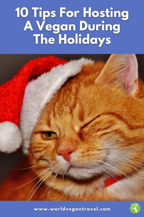 Orange cat in a Santa hat with one eye closed, symbolizing holiday fun for vegan hosting tips.