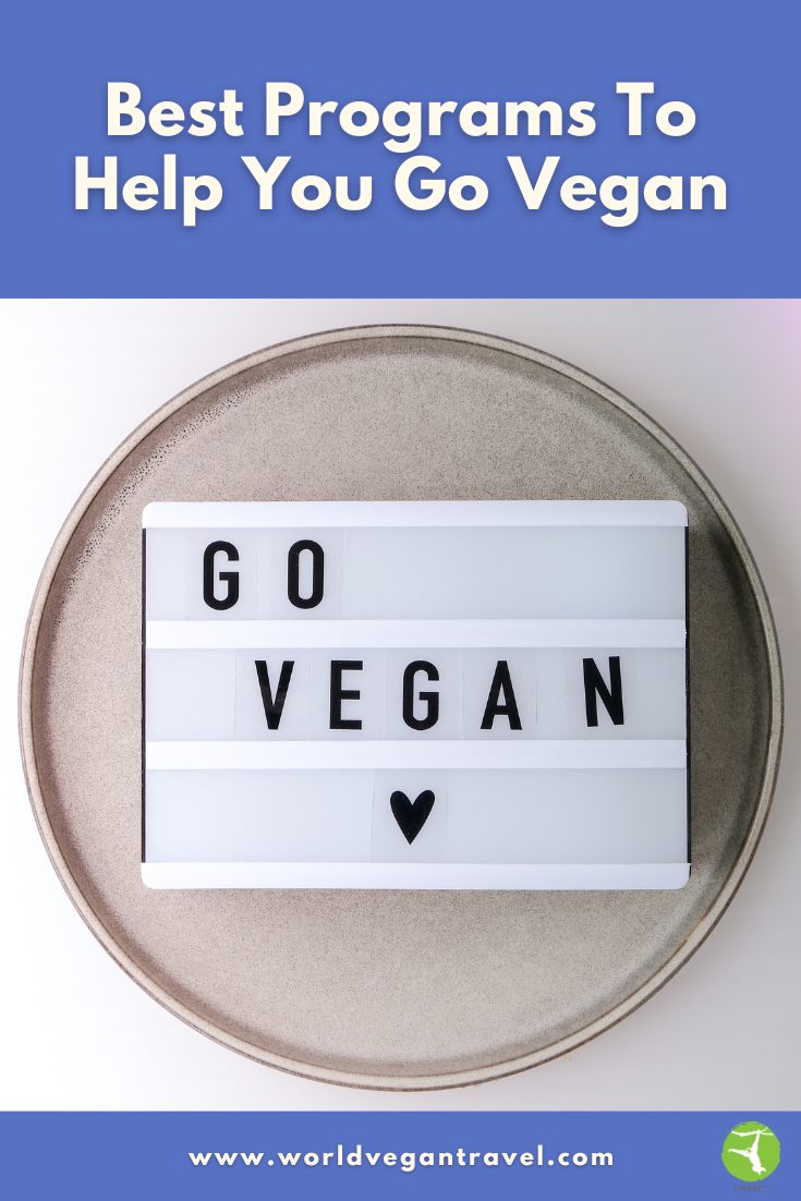 Lightbox sign with the words “Go Vegan” and a heart symbol – encouraging people to start a vegan lifestyle with World Vegan Travel.