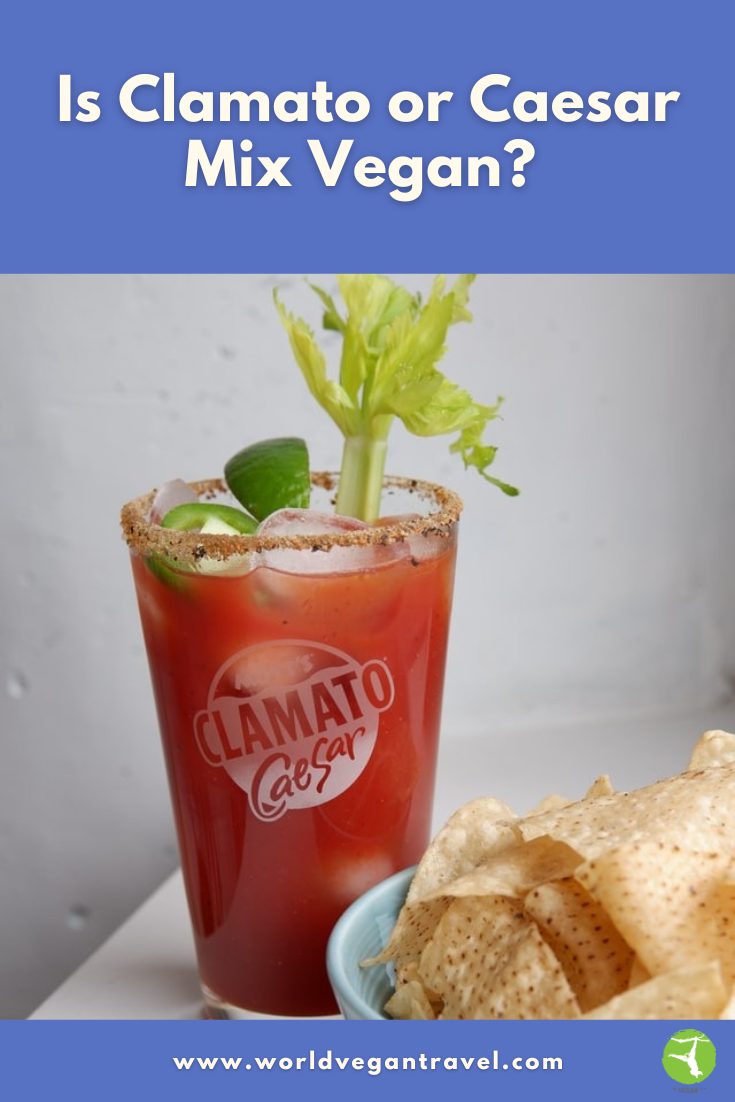 Is Clamato or Caesar Mix Vegan | World Vegan Travel A tall glass of Clamato Caesar mix with celery and lime, showing why traditional Caesar drinks are not vegan.