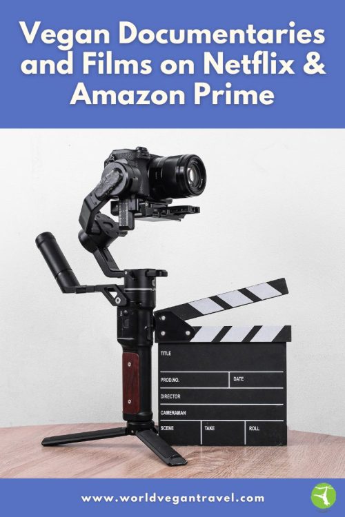 Camera and film clapperboard on a table, used to illustrate vegan documentaries available on Netflix and Amazon Prime.