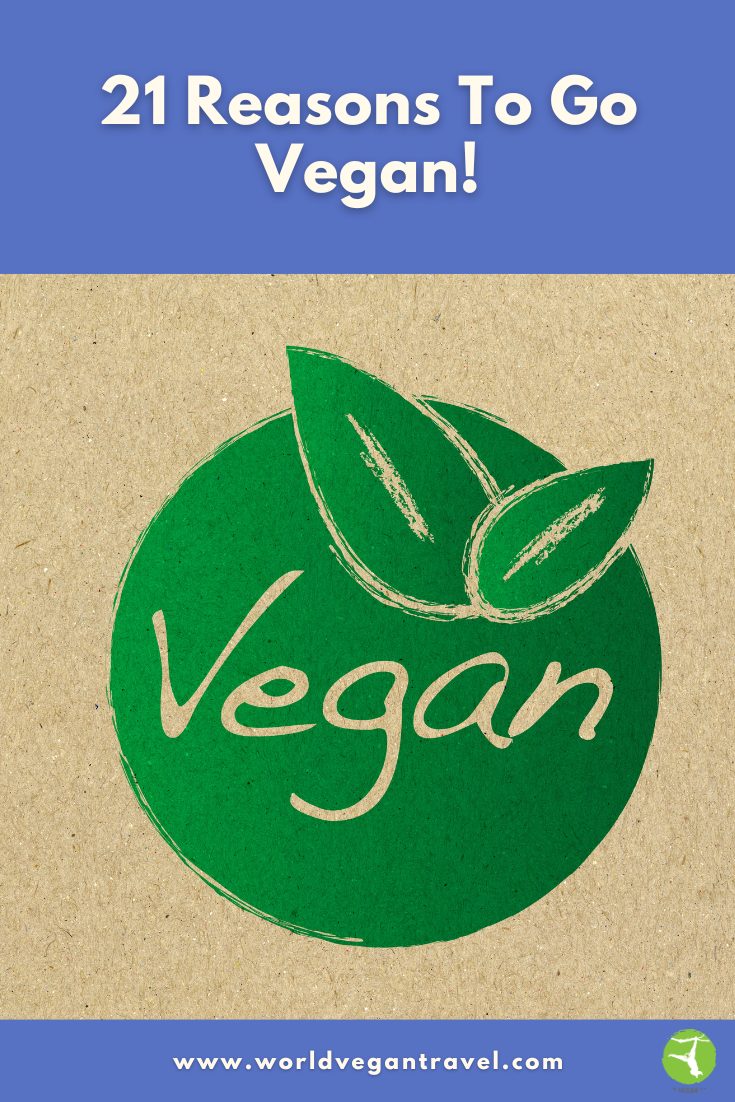 Green vegan logo with leaves and the text "21 Reasons to Go Vegan" on a natural paper background.